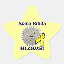 Spina Bifida Blows Awareness Design Star Stickers