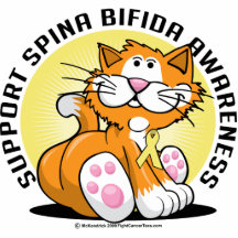 Spina Bifida Cat Photo Cutouts