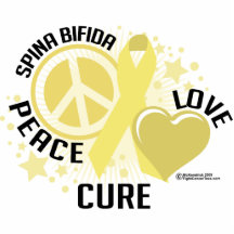 Spina Bifida PLC Cut Out