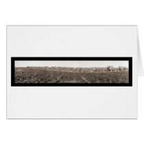 Spinach Harvest Photo 1928 cards by lc_panoramicphotos Spinach Harvest Photo 1928 cards