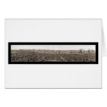 Spinach Harvest Photo 1928 cards