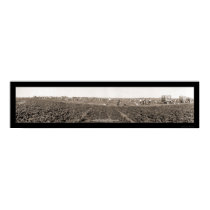 Spinach Harvest Photo 1928 posters by lc_panoramicphotos Spinach Harvest Photo 1928 posters