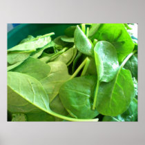 Spinach Print
