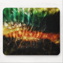 Spinal Burn Mousepad
