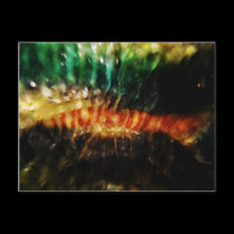 Spinal Burn