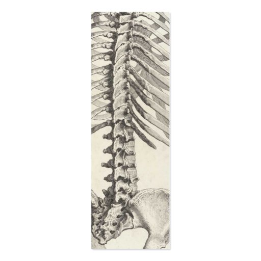 Spinal business card (front side)