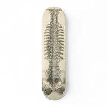 Spinal Column skateboards by Tower_of_Shadows Spinal Column skateboards