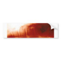 Spinal Fusion bumper stickers