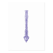 Spine Blue Post Cards