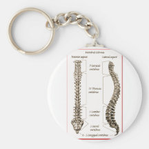 Spine Details Sepia2 Keychain