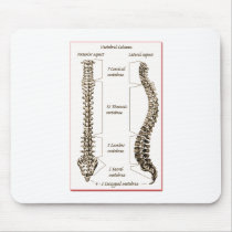 Spine Details Sepia2 Mousepads