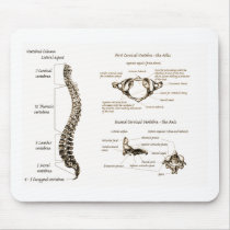 Spine Details Sepia Mousepad