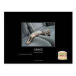 Spine postcards