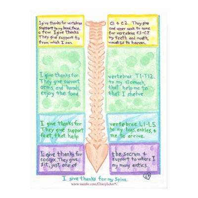 Spine Poster 1, I give thanks for vertebrae by Cherylsart