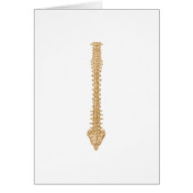 Spine Sepia Greeting Cards