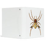 Spined Spider 3 Ring Binders