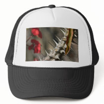 Spines On A Cactus hats by lifesphere Spines On A Cactus hats
