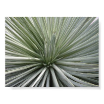 "Spines" posters