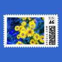 Sping postage