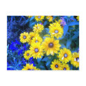 Sping postcards