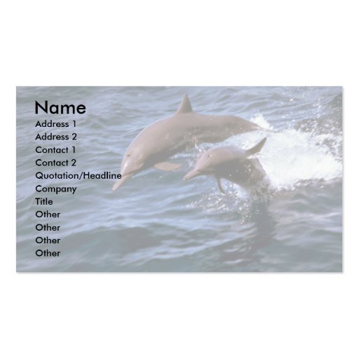 Spinner dolphin business card (front side)