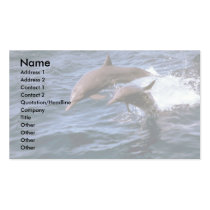 Spinner dolphin business cards