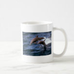 Spinner dolphin mug