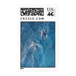 Spinner Dolphins Postage