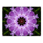 Spinning Purple Flower Postcard