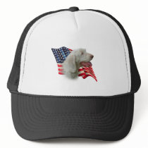 Spinone Italiano Flag hats