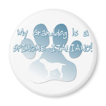 Spinone Italiano Granddog magnets