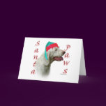 Spinone Italiano Santa Paws