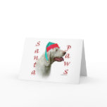 Spinone Italiano Santa Paws