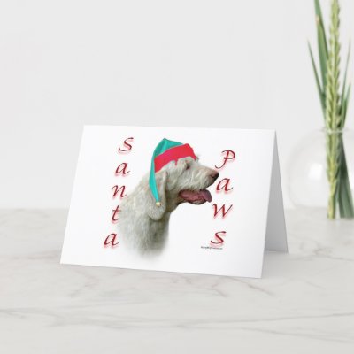 Spinone Italiano Santa Paws cards