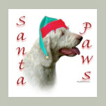 Spinone Italiano Santa Paws
