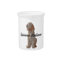 Spinone Pitcher