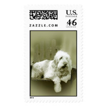 spinonestamp