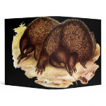 spiny anteater binders