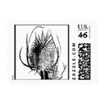 Spiny Dancer Cattail Ink Sketch Postage Stamp