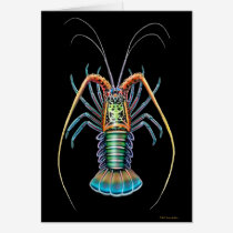 Spiny Lobster Card