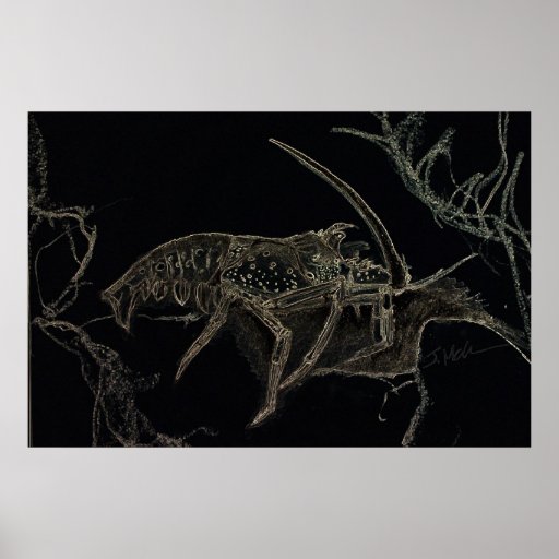 Spiny Lobster Print