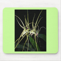 spiny orchid mousepads by roseroserose spiny orchid mousepads