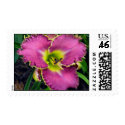 Spiny Sea Urchin Daylily Stamp