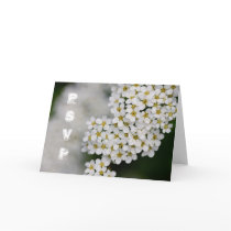 Spiraea RSVP Card