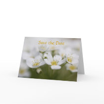 Spiraea Save the Date Card