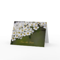Spiraea Save the Date Card