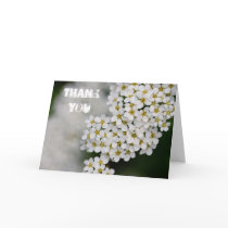 Spiraea Thank You Card
