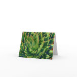 Spiral aloe notecard