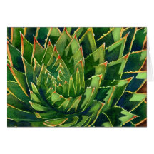 Spiral aloe notecard