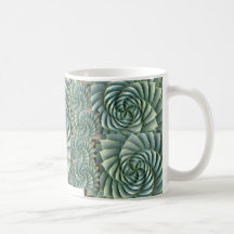 Spiral Aloe Succulent Mug